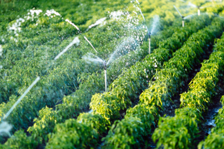 Water Irrigation 2 1