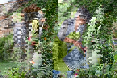 Garden (1)