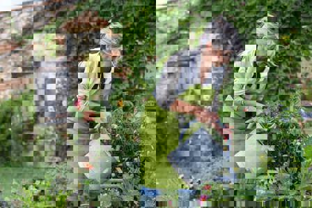 Garden (1)